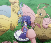 melty surrounded by fiolials